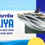 Lịch Trình Ăn Tối Du Thuyền Taliya Cruise 2025: Nhận Báo Giá Taliya Cruise mới Nhất 2025