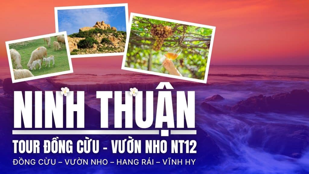 Review Tour Đồng Cừu – Vườn Nho NT12: Đồng Cừu – Vườn Nho – Hang Rái – Vĩnh Hy
