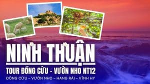 Review Tour Đồng Cừu – Vườn Nho NT12: Đồng Cừu – Vườn Nho – Hang Rái – Vĩnh Hy