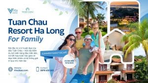 Tuan Chau Resort – Khu Nghỉ Dưỡng Đảo Tuần Châu Hạ Long Đáng Trải Nghiệm Nhất 2025
