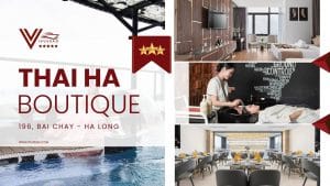 Review Khách Sạn Thai Ha Boutique Hạ Long 3 Sao Ngay Trung Tâm Du Lịch Hạ Long 2025
