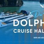 Dolphin Halong Cruise 2026 | Khám phá du thuyền giải trí All-in-One đẳng cấp trên Vịnh Hạ Long