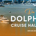 Dolphin Halong Cruise 2026 | Khám phá du thuyền giải trí All-in-One đẳng cấp trên Vịnh Hạ Long