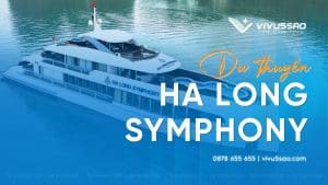 Cập Nhật Giá Du Thuyền Halong Symphony Daily 5 Sao năm 2026