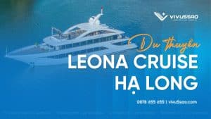 Review Leona Cruise Hạ Long 2026: Giá Tour, Lịch Trình & Trải Nghiệm Đáng Thử