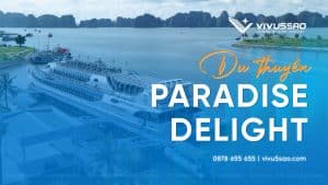 Cập Nhật Giá Du Thuyền Paradise Delight Mới Nhất 2026