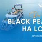 Giá Tour Du Thuyền Black Pearl Hạ Long Mới Nhất 2026