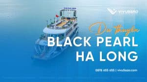 Giá Tour Du Thuyền Black Pearl Hạ Long Mới Nhất 2026