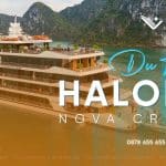Giá Halora Nova Cruise 2026 | Bảng Giá Mới Nhất & Review 4 Hạng Phòng