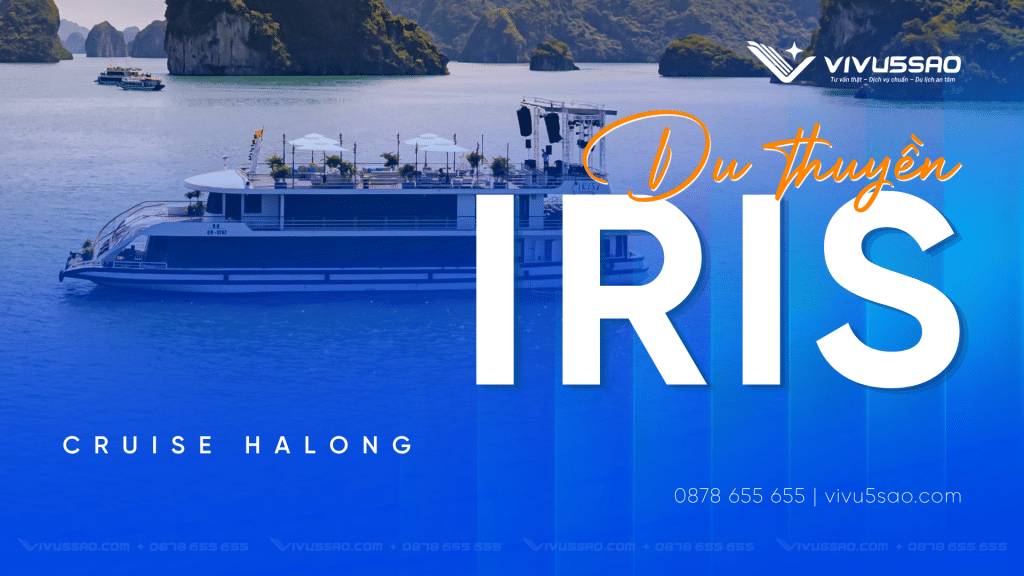Review Du Thuyền Iris Cruise Hạ Long 2026: Lịch Trình & Bảng Giá Mới Nhất Review Iris Cruise Hạ Long 2026: Bảng Giá & Lịch Trình