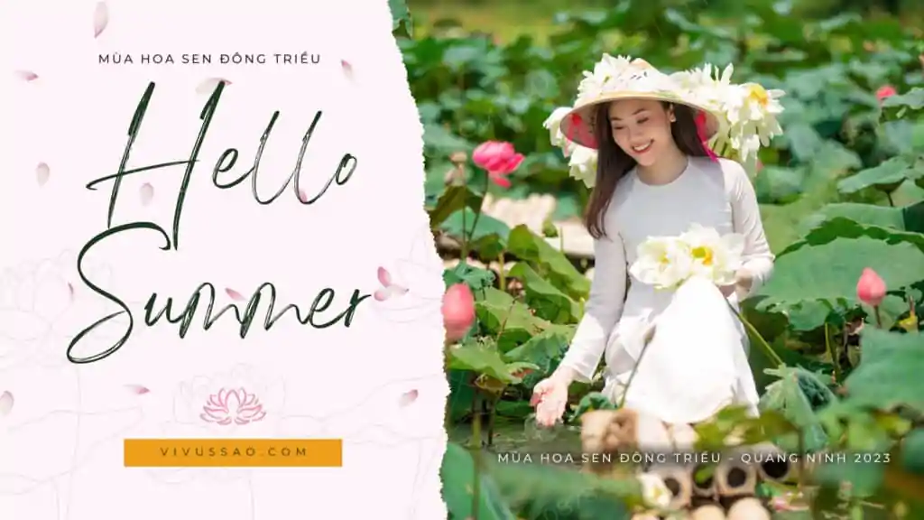 Mùa Sen Đông Triều 2023 - Thời điểm vàng cho các nàng "sống ảo" tại Quảng Ninh Mùa sen Đông Triều - Quảng Ninh 2023