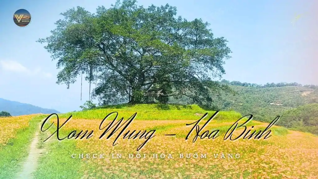 Xóm Mừng - Check-in đồi hòa bướm vàng tại Hòa Bình