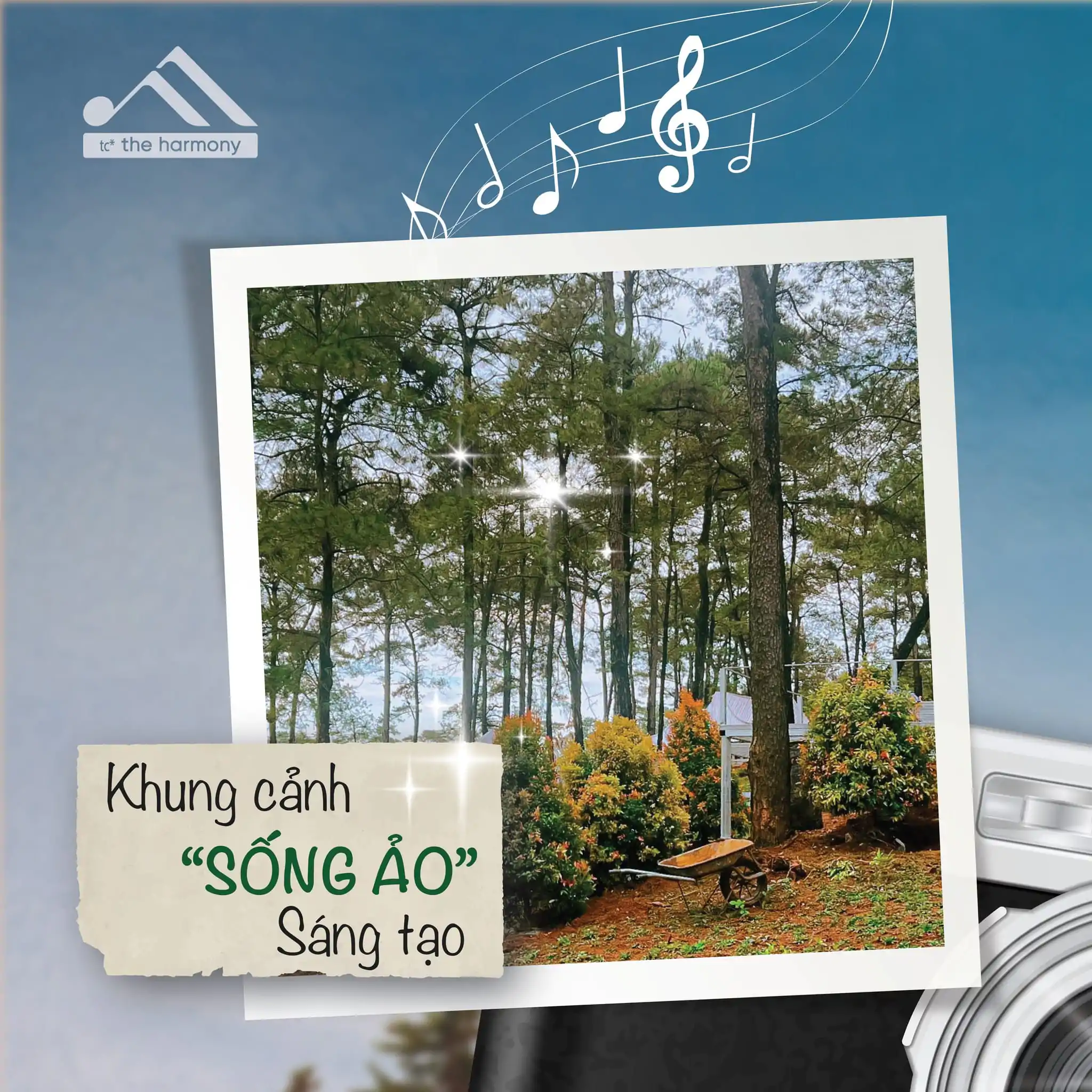 Review Harmony Tuần Châu - Check-in "Đà Lạt Thu Nhỏ" Giữa Biển Hạ Long 2025 Review Harmony Tuần Châu - Check-in "Đà Lạt Thu Nhỏ" Giữa Biển Hạ Long 2023