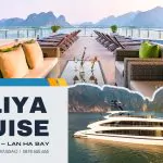 Du thuyền Taliya Cruise 5 sao - Khám phá vẻ đẹp tuyệt mỹ của vịnh Lan Hạ