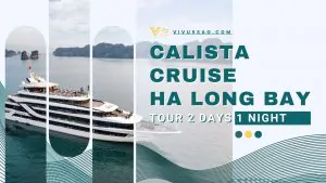Giá Tour Du Thuyền Calista 2025_ Hải Trình 2N1Đ Trên Vịnh Hạ Long