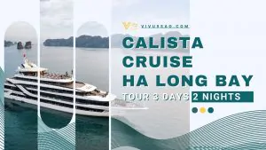 Giá Tour Du Thuyền Calista 2025: Hải Trình 3N2Đ Trên Vịnh Hạ Long