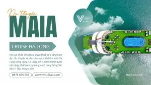 Bảng Giá Du Thuyền Maia Hạ Long 2025 – Đặt Tour Tham Quan Vịnh Hạ Long Trong Ngày