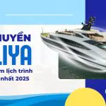 Lịch Trình Ăn Tối Du Thuyền Taliya Cruise 2025: Nhận Báo Giá Taliya Cruise mới Nhất 2025